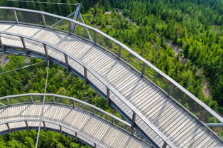 开云竞猜官网-“飞盘:三叉湖赛场飞扬,速度与技巧成就精彩” 第2张 开云竞猜官网-“飞盘:三叉湖赛场飞扬,速度与技巧成就精彩” 第2张